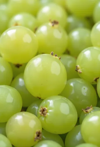 Fresh green and red gooseberries sliced with leaves on a wooden surface