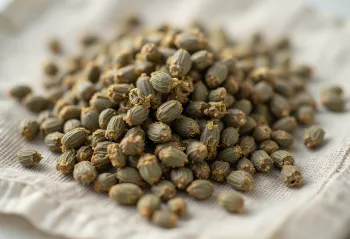 Unhulled hemp seeds close up, scattered on light surface