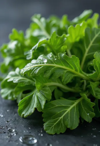 Fresh arugula, green leaves on a cutting board